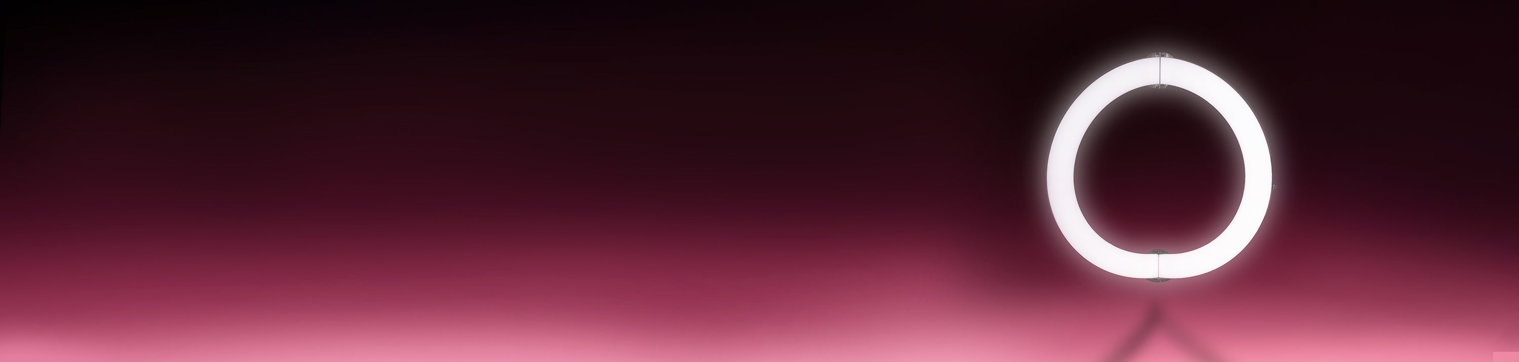 PROFESSIONAL LIGHTING