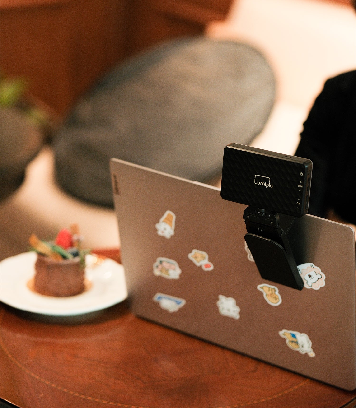 Bi-Color LED Mini Light Panel with Laptop Mount