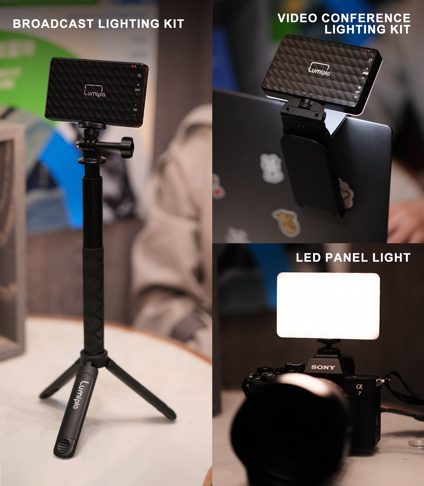 portable light with stand